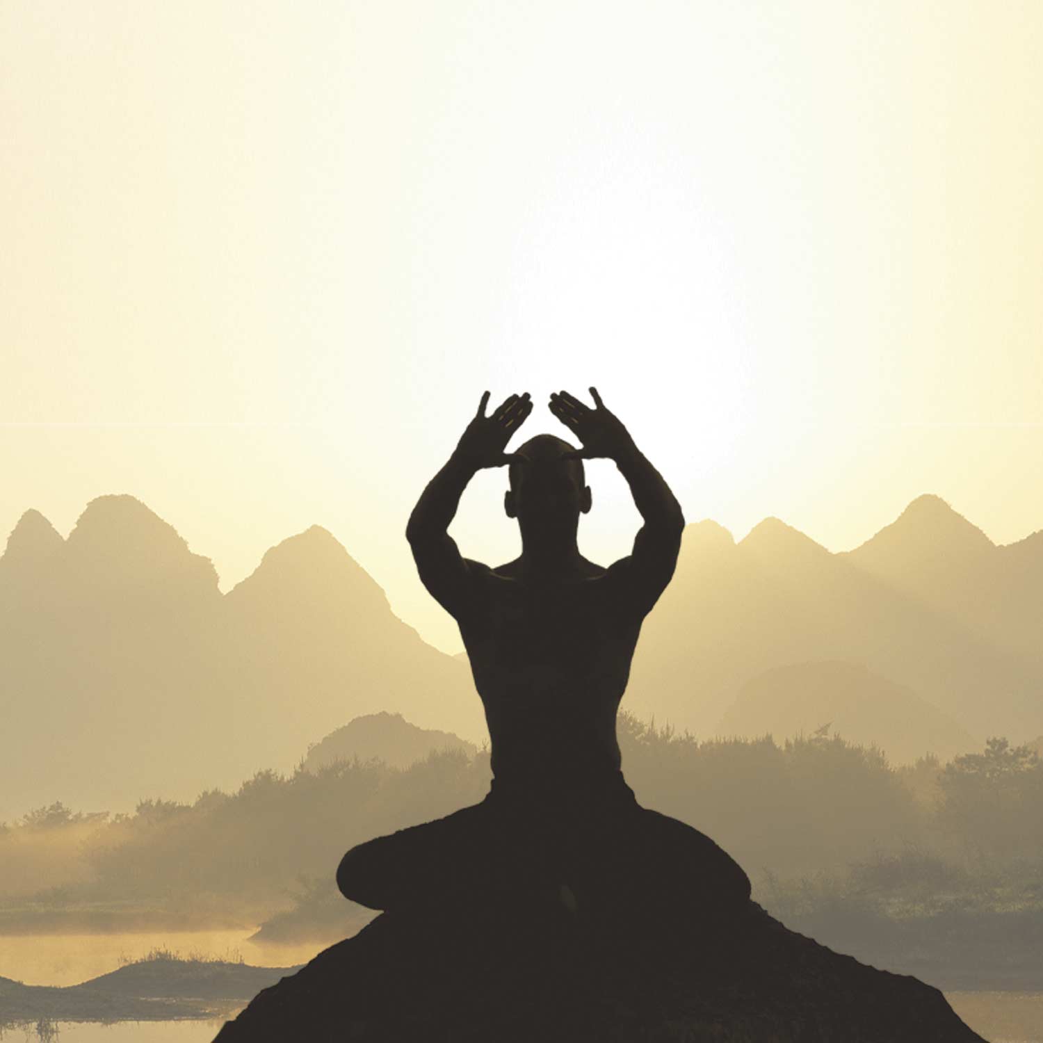 Qi Gong la disciplina della Longevità e del Benessere