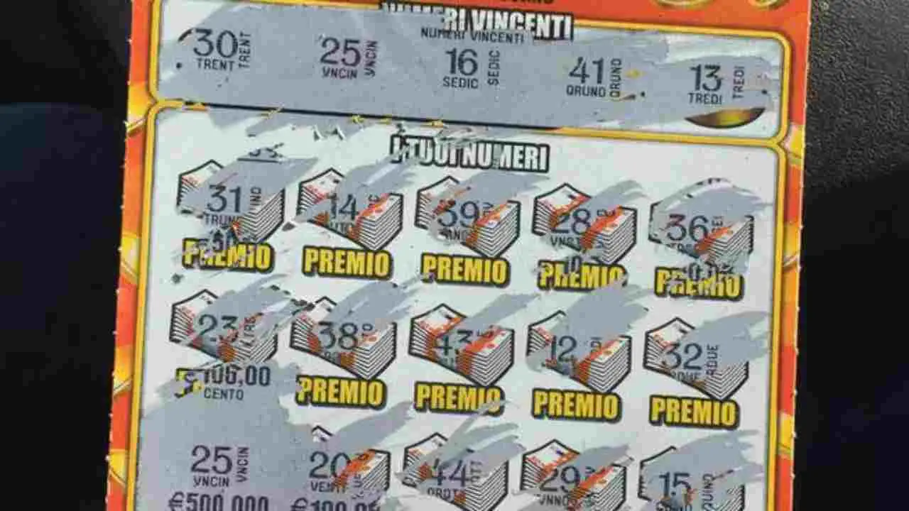 Immagine selezionata